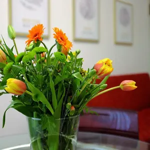 Apartment Filarmonico12 Verona